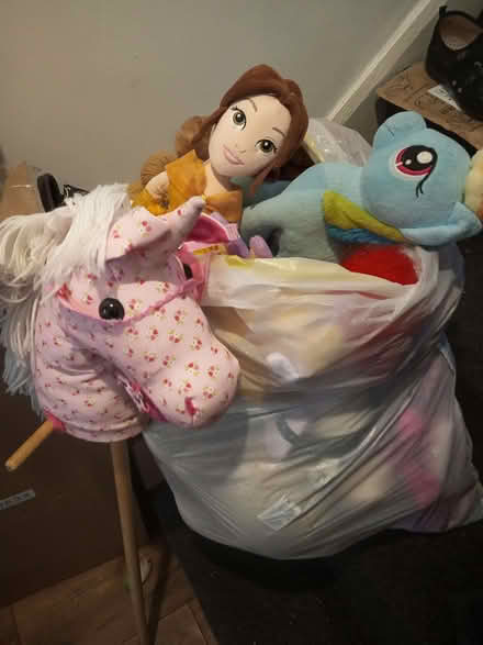 Photo of free Soft toys (Dukinfield SK16) #3