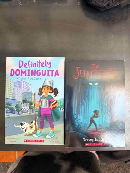 Photo of free Kids Books - Age 8/9 (NE Naperville) #1