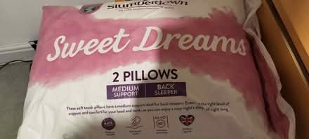 Photo of free pillows (Lambridge) #1