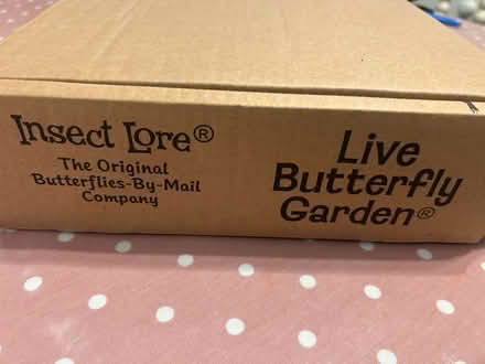 Photo of free Butterfly enclosure (Dunstable) #2