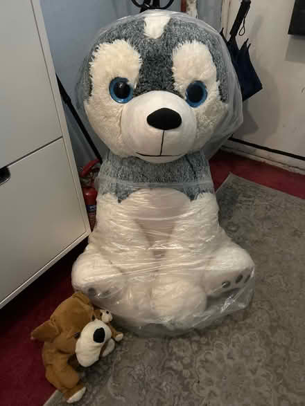 Photo of free Big teddy (I live near Angel station N1) #1