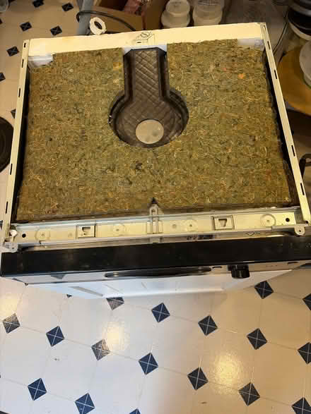 Photo of free Indesit dishwasher (Chiswick W4) #4