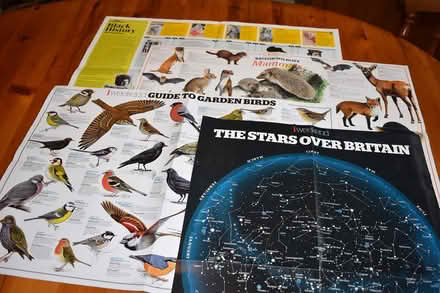 Photo of free 4 x Guardian wall charts (BS3 Southville) #1