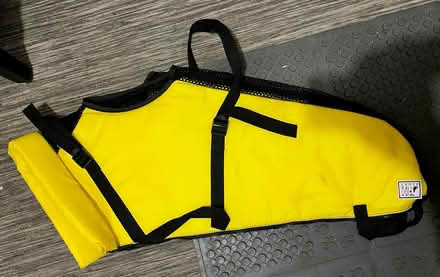 Photo of free Dog life vest - X-Large (Fremont) #1