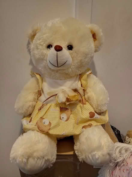 Photo of free Soft toys (Dukinfield SK16) #2