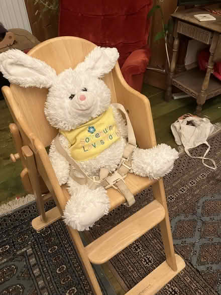 Photo of free Highchair (Roslin EH25) #3