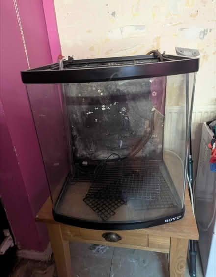 Photo of free Marine fish tank 128L (Everton Park L6) #1