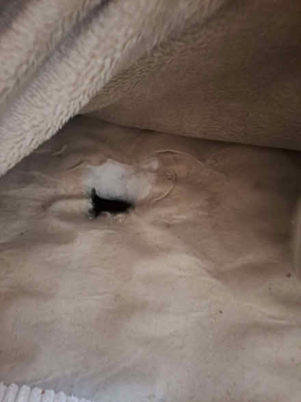 Photo of Sofa (Ilkeston DE7) #1