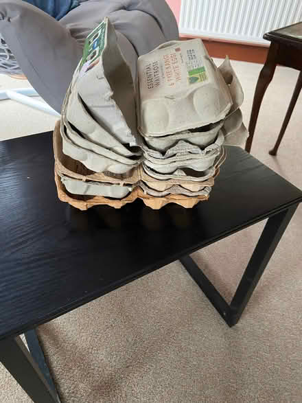 Photo of free Egg boxes (Colwall Stone WR13) #1