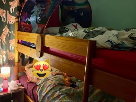Photo of free Bunk bed (Weymouth, Westham, DT4) #1