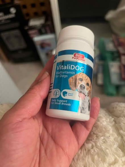 Photo of free Dog Vitamins (N19) #1