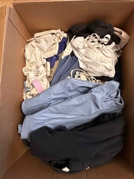 Photo of free Girl's Bras or Raincoats (Saratoga Mtns) #1