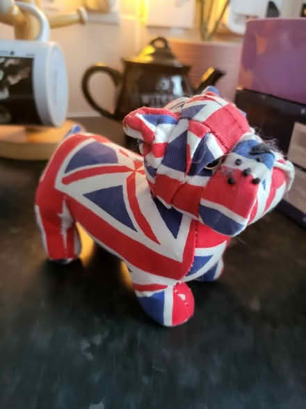 Photo of free Dog (Dursley) #1