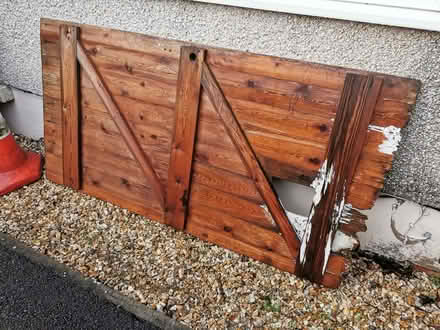 Photo of free Shed door (Keynsham Memorial Park BS31) #1
