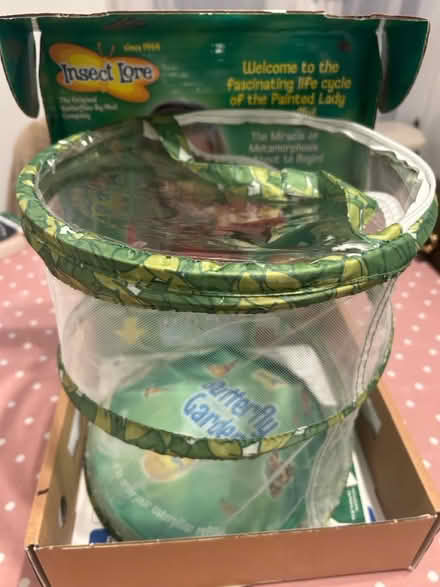 Photo of free Butterfly enclosure (Dunstable) #1