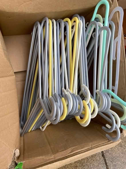 Photo of free Plastic hangers bundle (AL4, St albans) #1