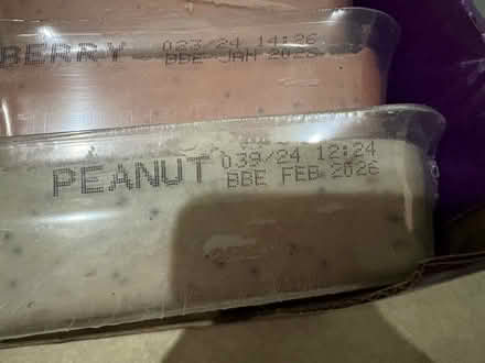 Photo of free Suet blocks for birds (Carbis Bay TR26) #2