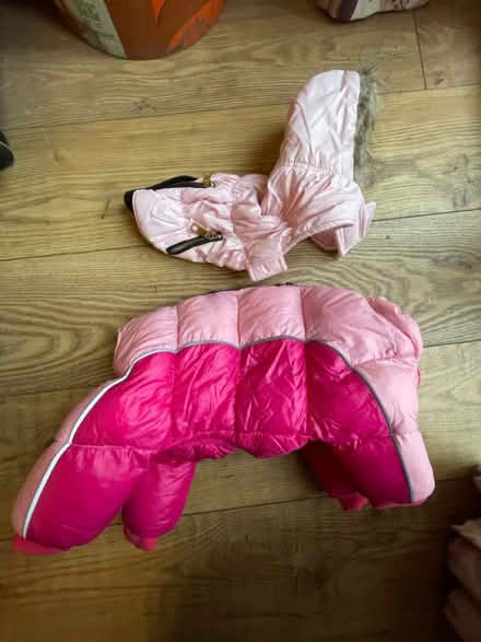 Photo of free Pup/small dog coat (Basingstoke RG22) #1