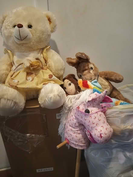 Photo of free Soft toys (Dukinfield SK16) #1