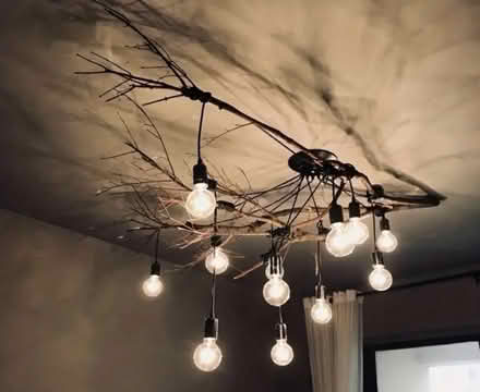 Photo of Tree branches (Chatham ME5) #1