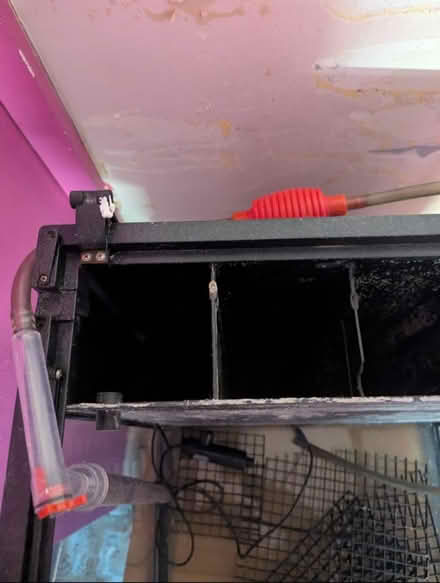 Photo of free Marine fish tank 128L (Everton Park L6) #2