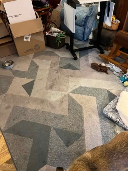 Photo of free Large Rug (Bare LA4) #1