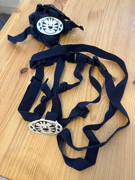 Photo of free Toddler reins (Whitecross OX13) #1