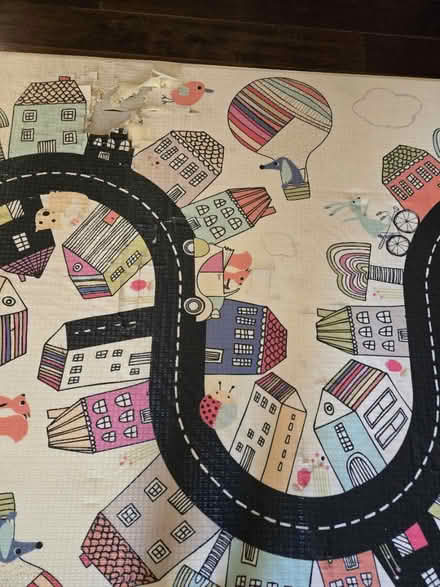 Photo of free Play mat (San Ramon) #3