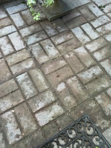Photo of Pale grey block pavers (Cliffe BN7) #1