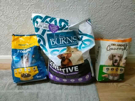 Photo of free Dog Kibble (Cleveleys FY5) #4