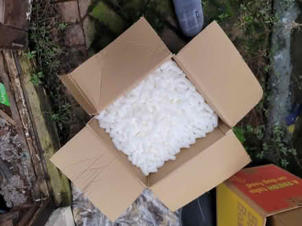 Photo of free Packing peanuts (Darnall S9) #1