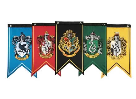 Photo of Harry Potter themed birthday deco (Derwood) #1