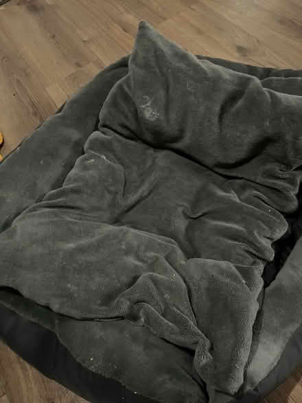 Photo of free Dog bed (Southborough BR2) #1