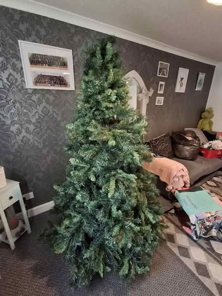 Photo of free 7 foot Christmas tree (Little Dawley TF4) #1