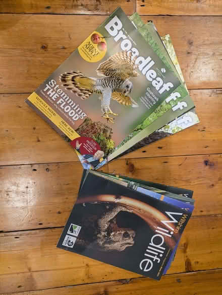 Photo of free Gardening / nature / art magazines (Bradford on Avon BA15) #1
