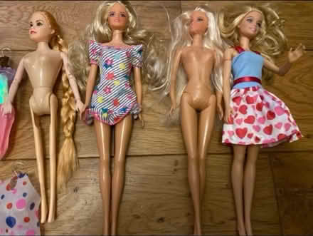 Photo of free Girls Toys (Cheshunt En8) #3