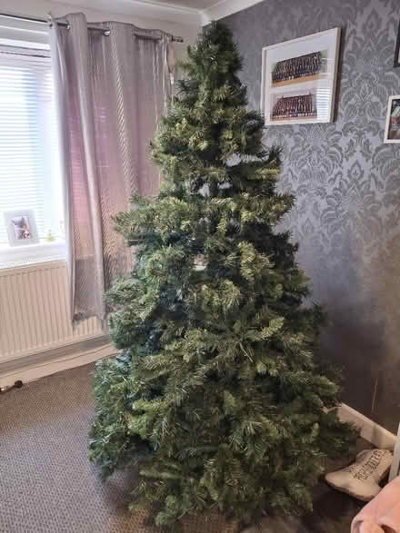Photo of free 7 foot Christmas tree (Little Dawley TF4) #2