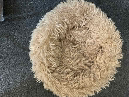 Photo of free Fluffy 40cm cat bed (Henley-on-Thames RG9) #1