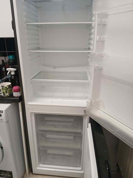 Photo of free Bush, black tall fridge freezer (Hornsey N8) #3