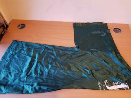 Photo of free Green kimono style satin gown (Gloucester) #2