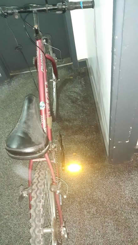 Photo of free Kid's Bicycle, B5 (B5) #3