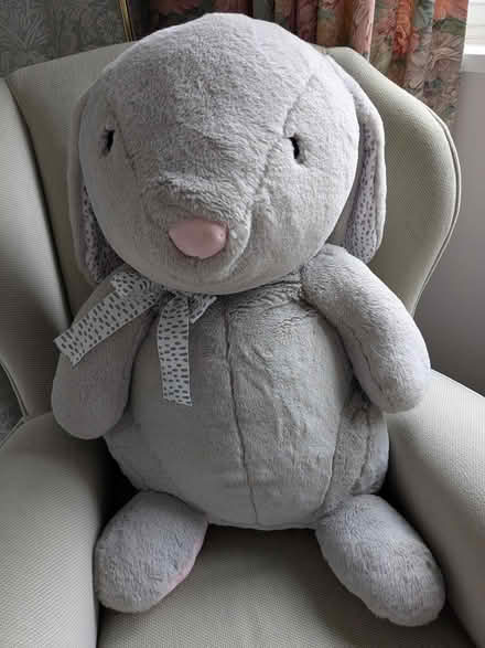 Photo of free Rabbit (B91 - Central Solihull) #1