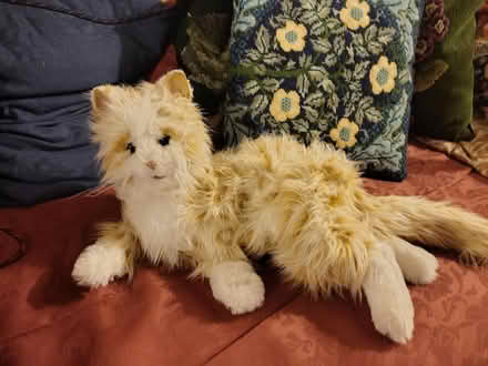 Photo of free Robot cat for dementia (Loud Bridge PR3) #1