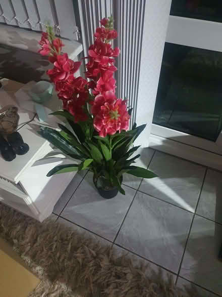 Photo of free Artificial plant. (Elstow MK42) #1