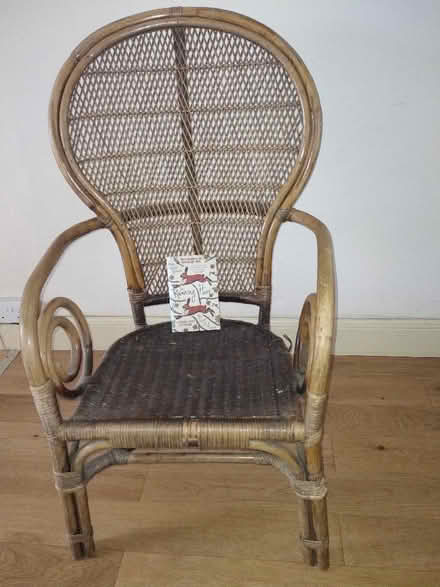 Photo of free Wicker chair (Shoscombe Vale) #1