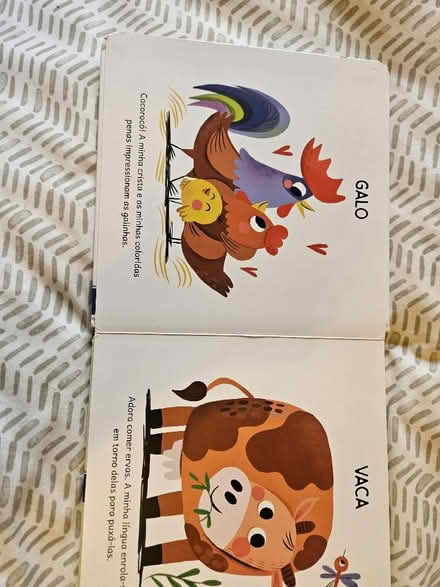 Photo of free Portuguese young children book (Littlemore OX4) #2