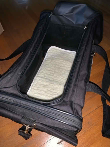 Photo of free Cat or small dog carrier (Piedmont) #2