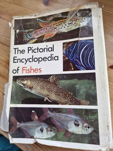 Photo of free Book Encyclopedia of Fishes (Shirley CR0) #1