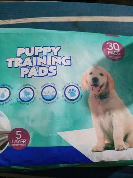 Photo of free Puppy training pads (Gorebridge EH23) #1