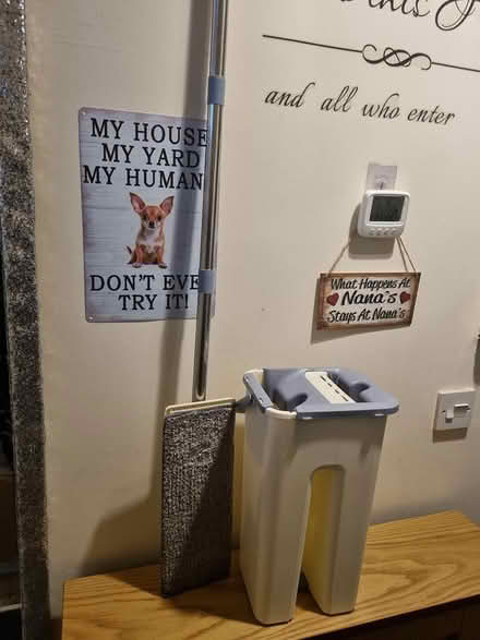Photo of free Flat mop and bucket (S2 Wybourn) #1